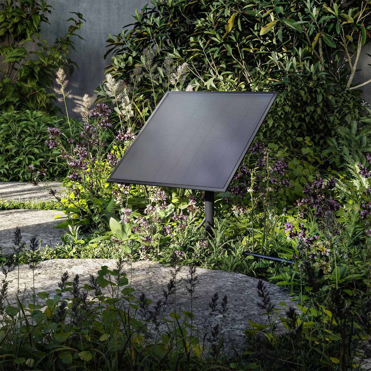 Solarpanel für Gartenlampen schwarz mit Verbindungkabel schwarz und Steckverbindung im Garten zwischen Pflanzen