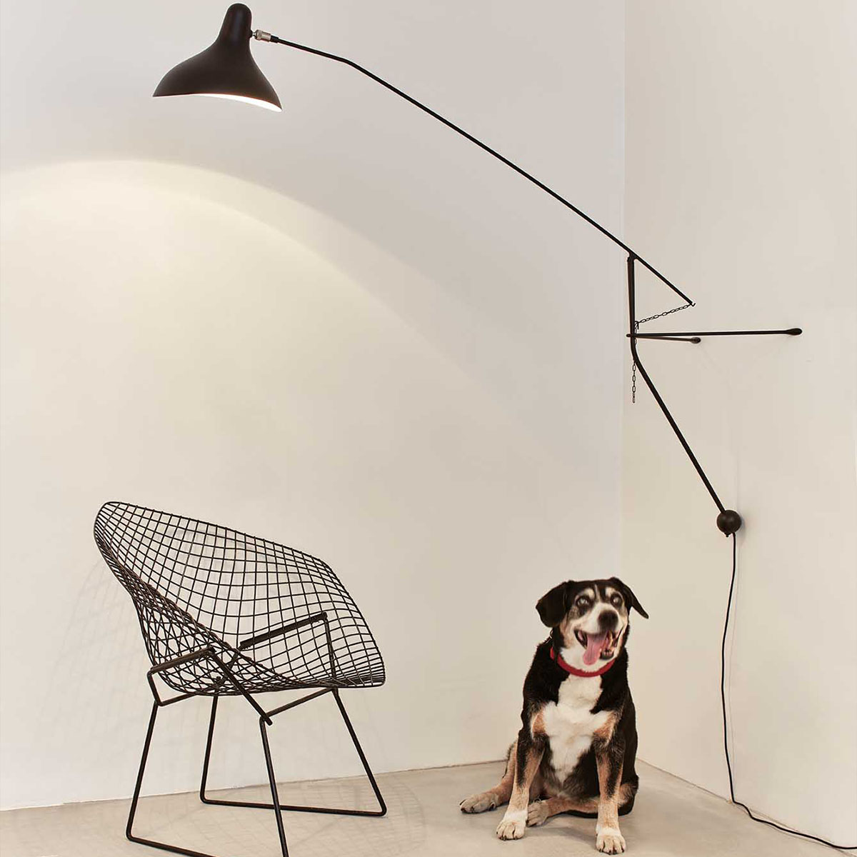 Mantis BS2 Mini Wandleuchte T: 71,5 cm in Schwarz – stilvolles Design aus dem Hause DCW Editions für den Flur