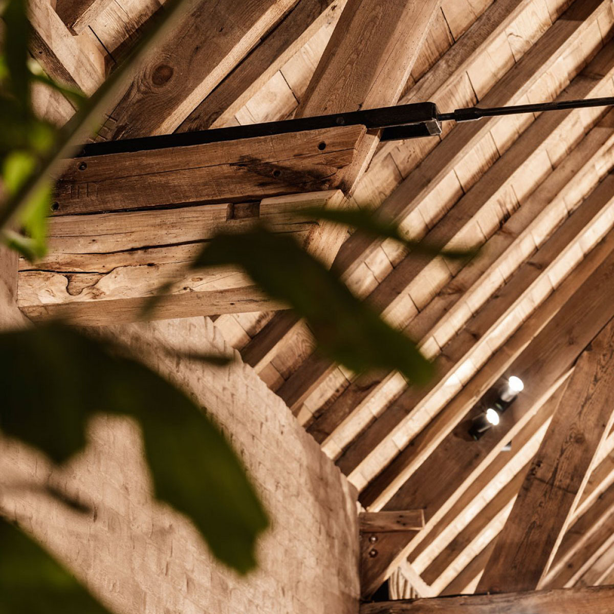 SPY 52 ON 1 92720 DIM8 Aufbaustrahler, Ø: 5,2 cm, L: 12 cm, Schwarz, Extra-Warmweiß 2700K, 20° SPY 52 ON 1 93045 DIM8 Aufbaustrahler, Ø: 5,2 cm, L: 12 cm, Schwarz, Warmweiß 3000K, 45°