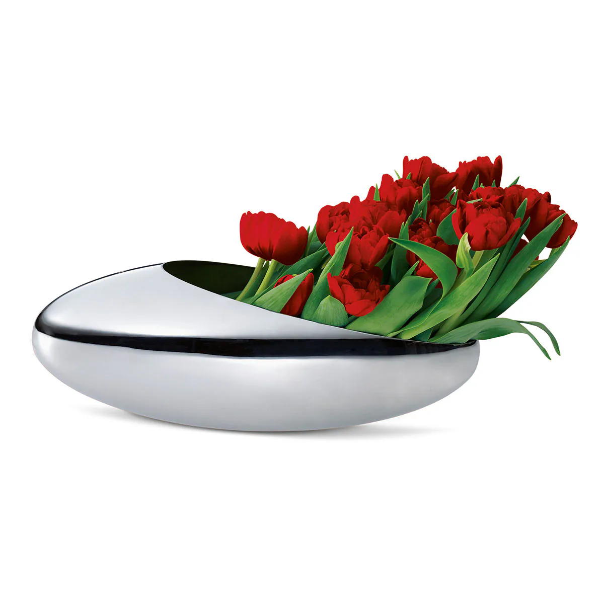 Cocoon Champagnerkühler + Tulpenvase