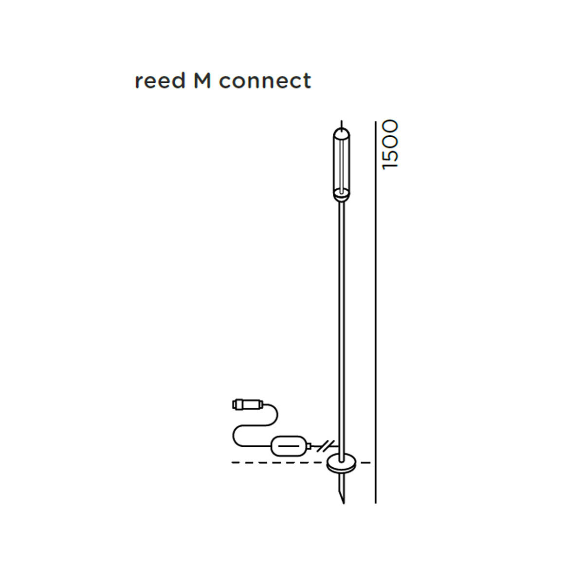 reed M Erdspießleuchte, Connect, H: 150 cm