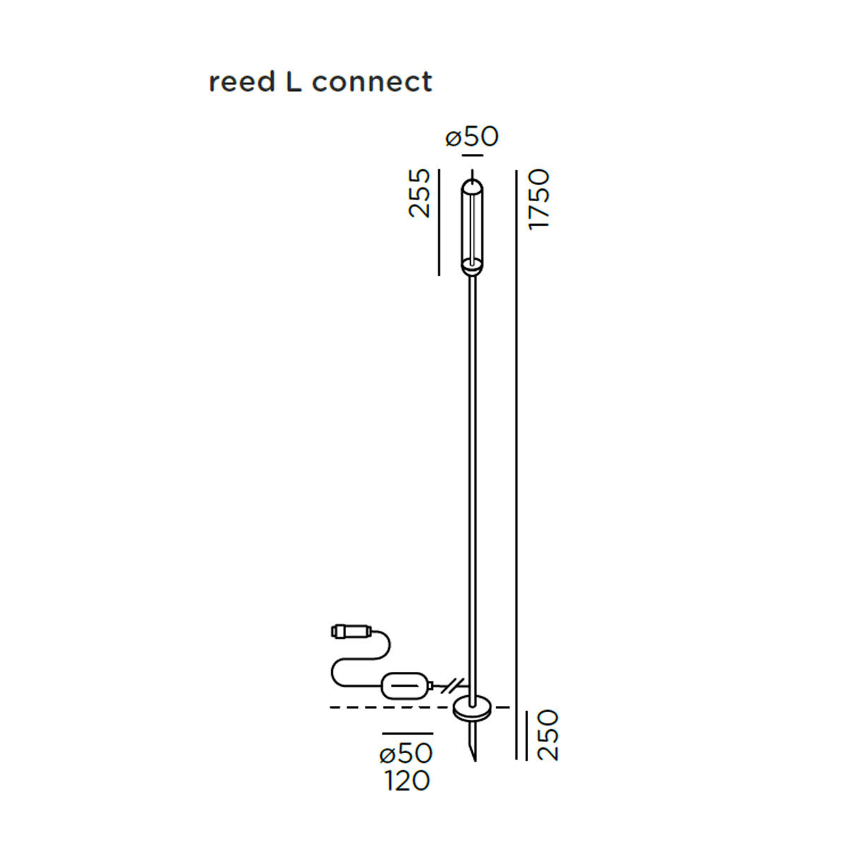 reed L Erdspießleuchte, Connect, H: 175 cm
