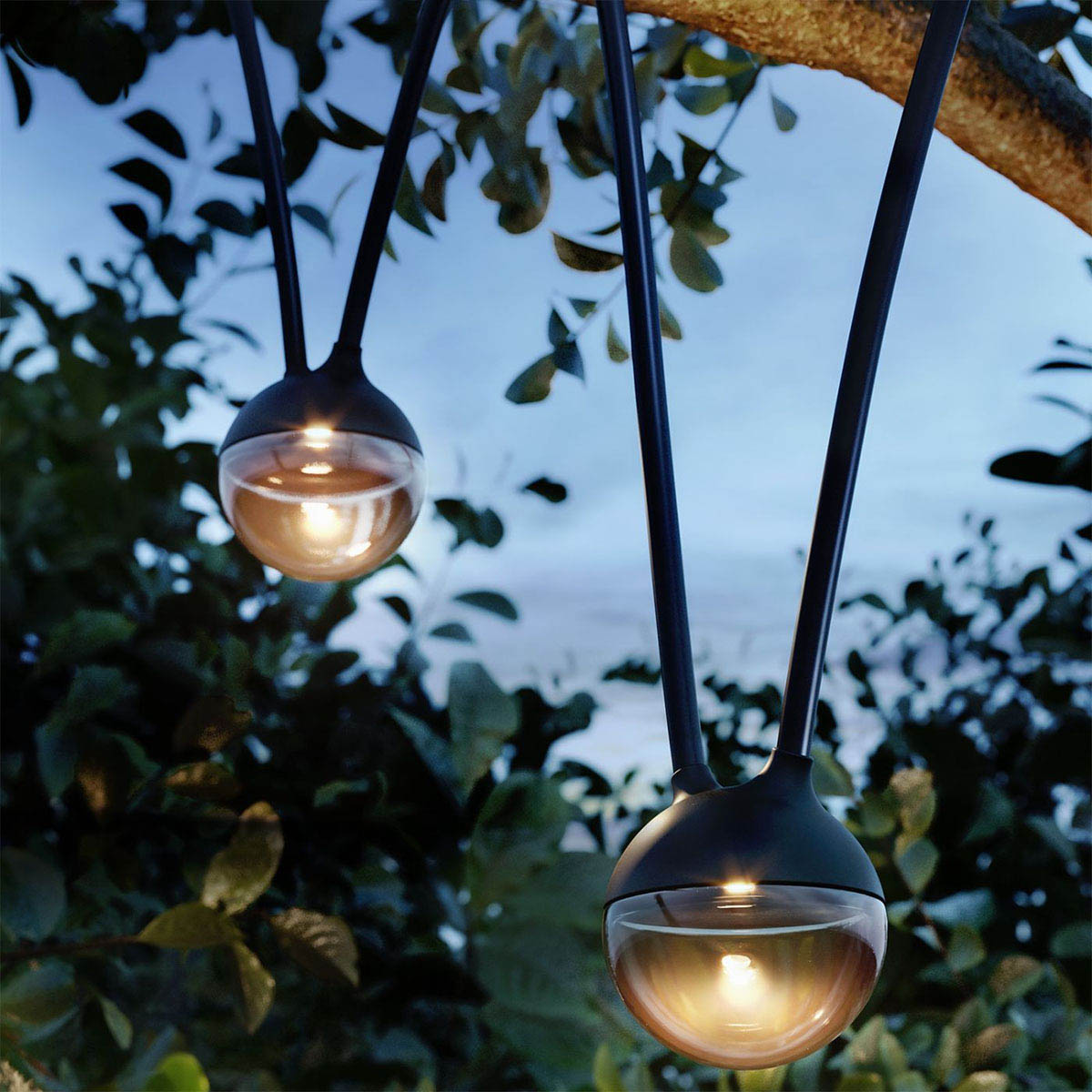 Lichterkette mit runden leuchten und schwarzem verbindungskabel mit Akku im Garten am Baum