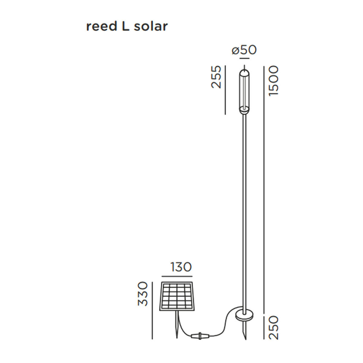 reed solar L Erdspießleuchte, H: 150 cm