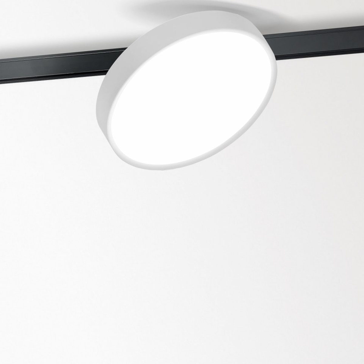 DeltaLight MULTINOVA 30 PIVOT 930 ADM DIM5 Schienenstrahler, Ø: 30 cm MULTINOVA 30 PIVOT 930 ADM DIM5 Schienenstrahler, Ø: 30 cm, Weiß, DALI – hochwertige Innenbeleuchtung, energieeffizient für Esszimmer schwenkbar & drehbar