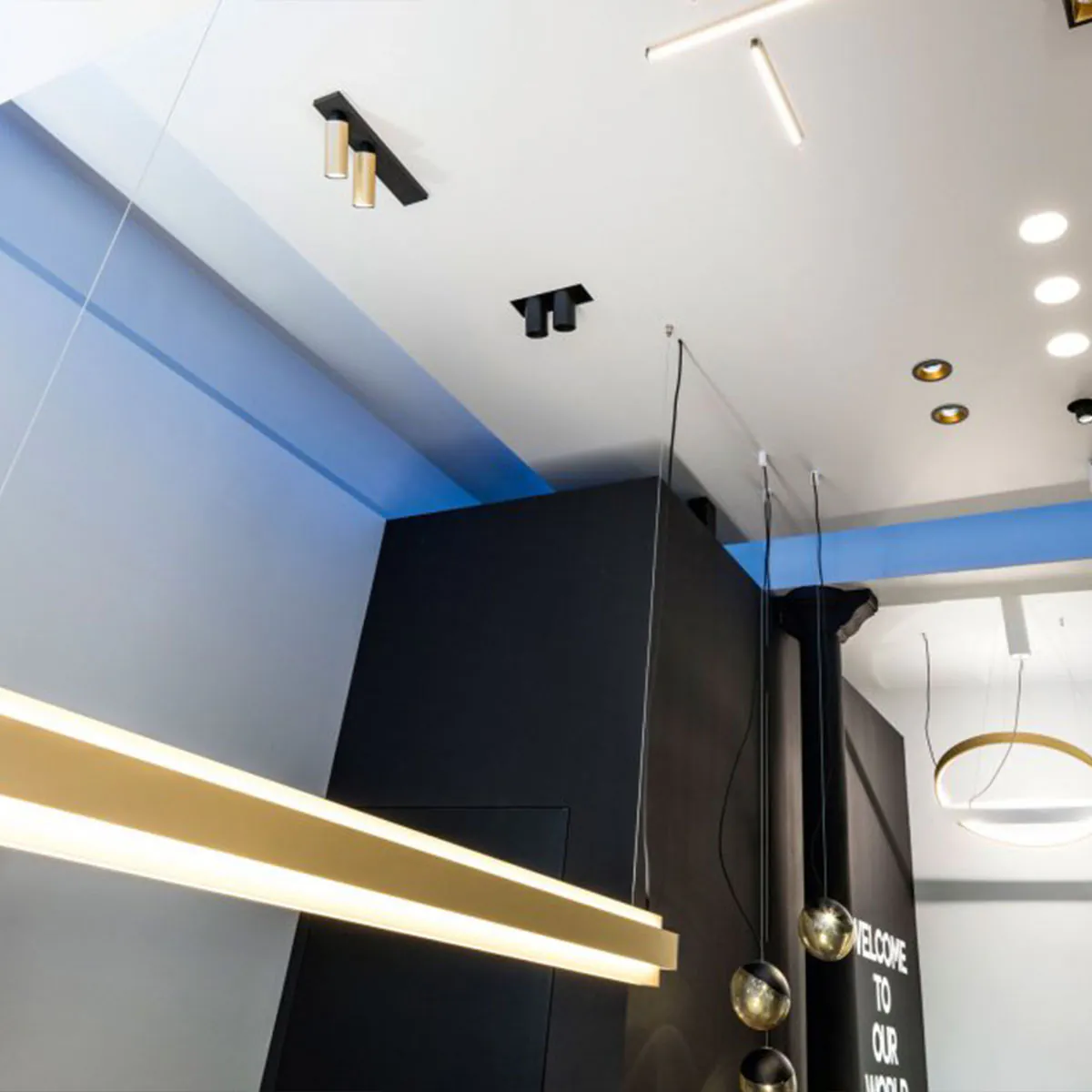 ONE-AND-ONLY P20 DOWN-UP 930 DIM5 Pendelleuchte, Schwarz, DALI, L: 190,2 cm