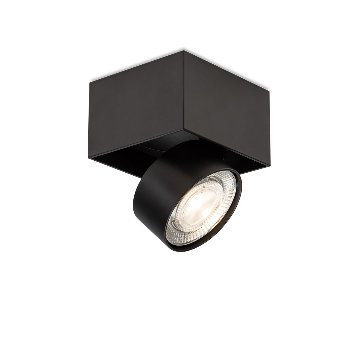 Wittenberg 4.0, wi4-ab-1e-hb Aufbaustrahler, Schwarz matt, Extra-Warmweiß 2700K, Spot 12°, Phase Cut Wittenberg 4.0, wi4-ab-1e-hb Aufbaustrahler, Schwarz matt, Warmweiß 3000K, Flood 38°, Bluethooth