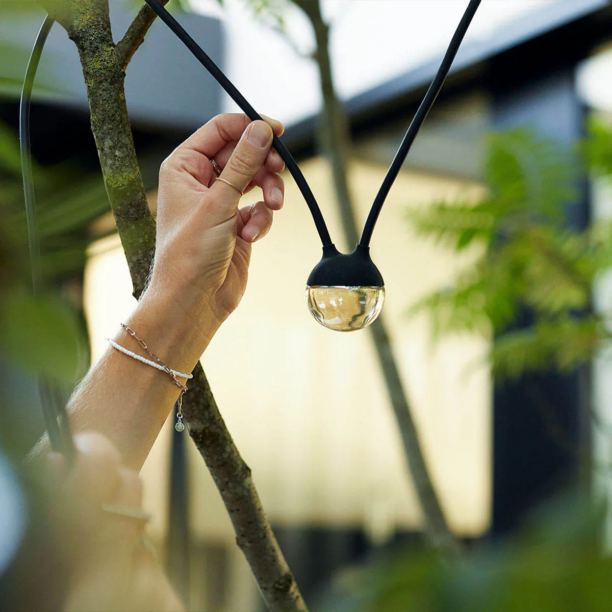 Lichterkette mit runden leuchten und schwarzem verbindungskabel mit Akku im Garten am Baum