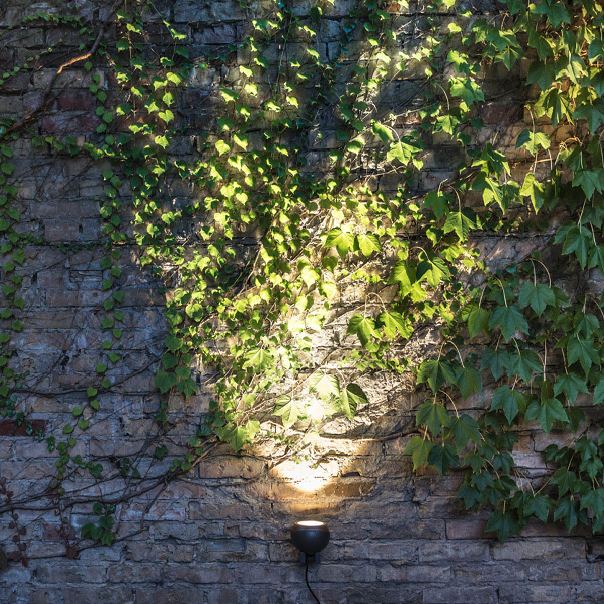 Runde Bodenleuchte für außen mit Schuko Stecker an der Mauer montiert