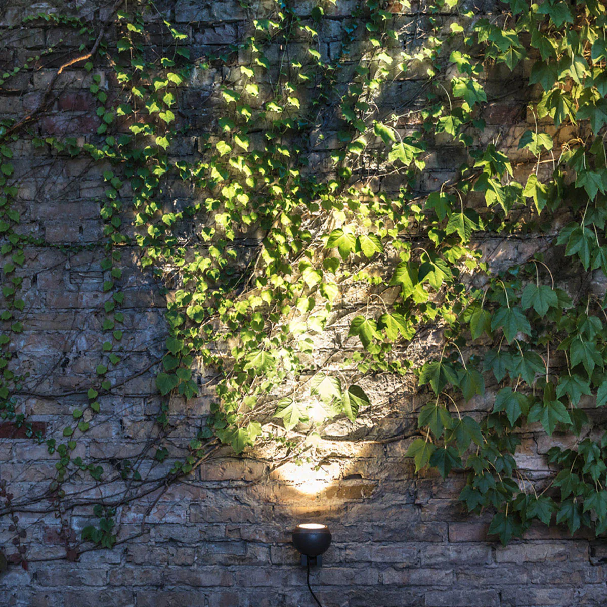Runde Bodenleuchte für außen mit Schuko Stecker an der Mauer montiert