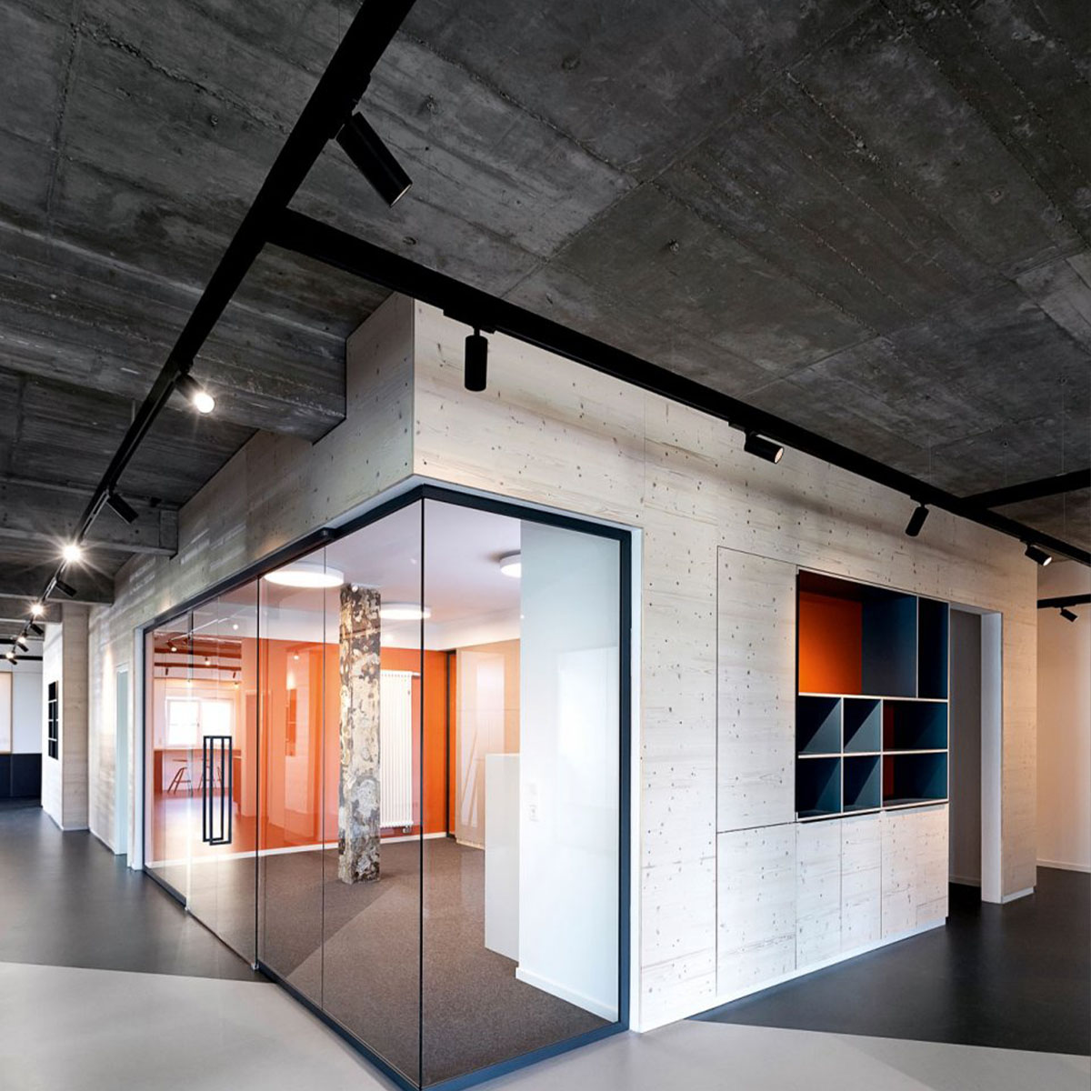 SPY 66 92718 ADM Schienenstrahler, Ø: 6,6 cm, Schwarz, Extra-Warmweiß 2700K, 18° SPY 66 93045 ADM DIM5 Schienenstrahler, DALI dimmbar, Ø: 6,6 cm, Weiß, Warmweiß 3000K, 45°