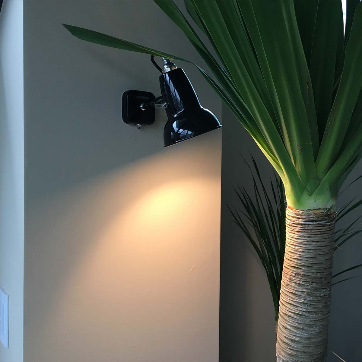 Anglepoise Original 1227 Mini Wandleuchte, Ø: 13 cm, H: 14 cm, Ceramic im Wohnambiente: _Original_1227_Wandleuchte_Mini_mood_4.jpg