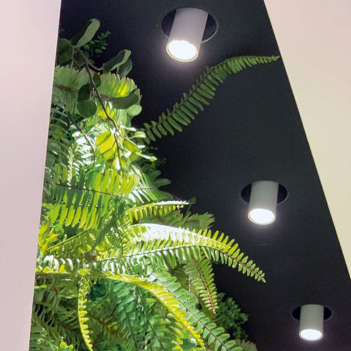 DeltaLight SPY 39 TRIMLESS 93040 Einbaustrahler, Ø: 8,2 cm, Klavier Schwarz, Warmweiß 3000K, 40° Schwarz 3000K Modern & neutral – Designlampe, geeignet für Flur, Abstrahlwinkel 40°