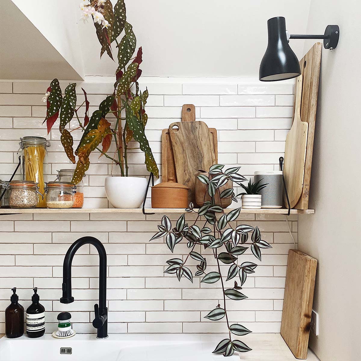 Anglepoise Type 75 Wandleuchte, Ø: 14,5 cm, H: 19,2 cm im Wohnambiente: schwarze Design-Wandleuchte über Küchenregal mit Pflanzen, Holzaccessoires und skandinavischem Ambiente.