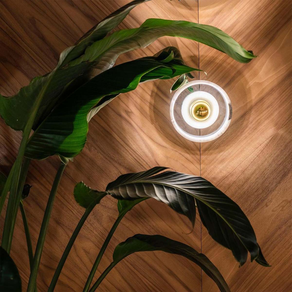 Tom Dixon Stone LED Wandleuchte, Ø: 18 cm, T: 13,1 cm, Weiß/Gold