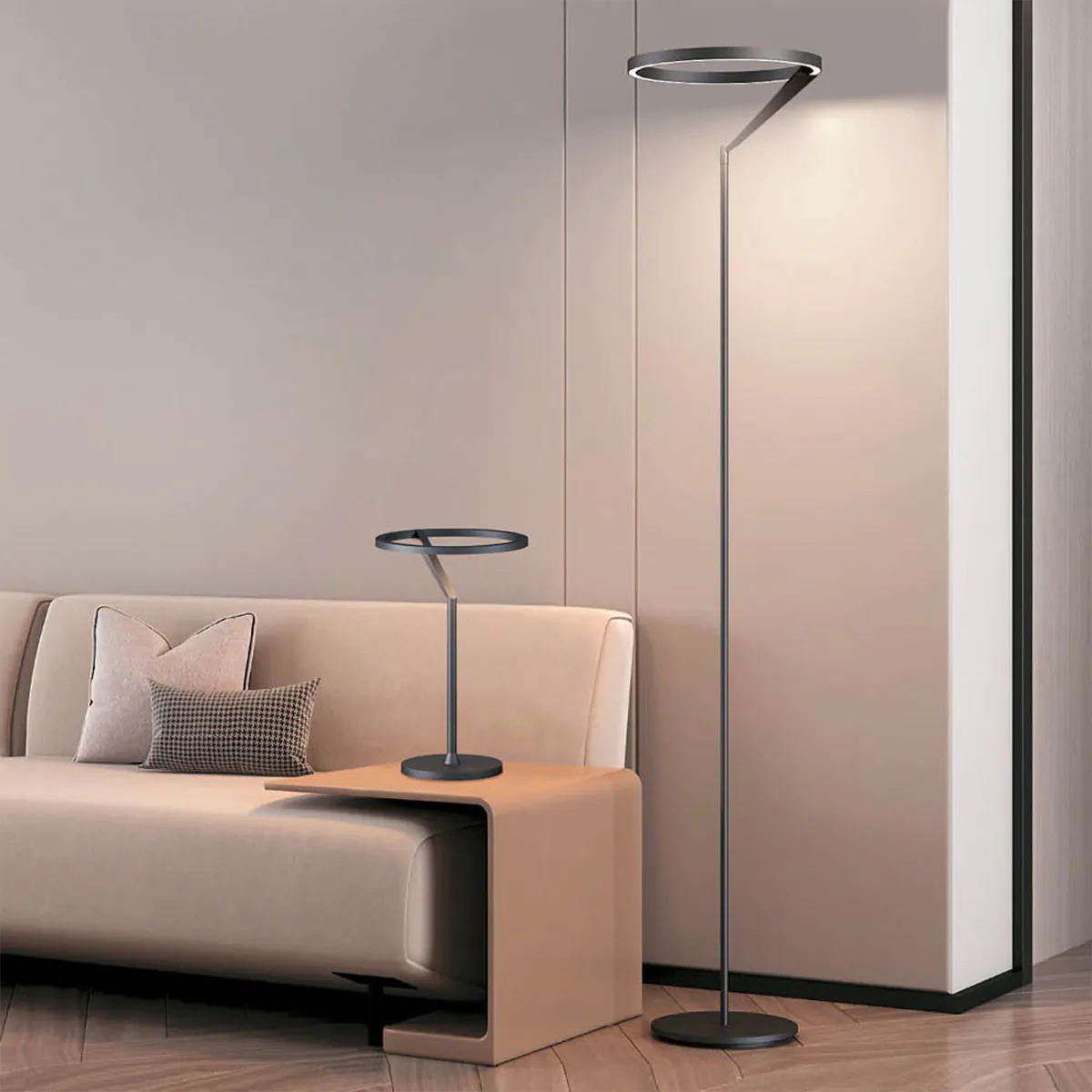 Meridiana Ring Stehleuchte mit Up-Down Licht, Titanium