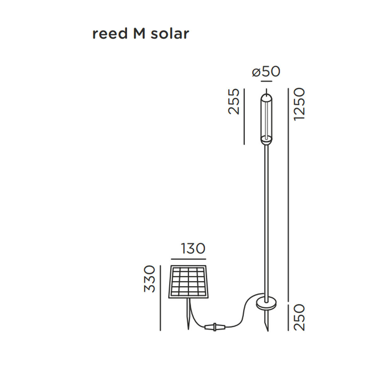 reed solar M Erdspießleuchte, H: 125 cm